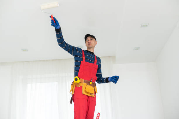 Best Ceiling Drywall Installation  in Waukegan, IL